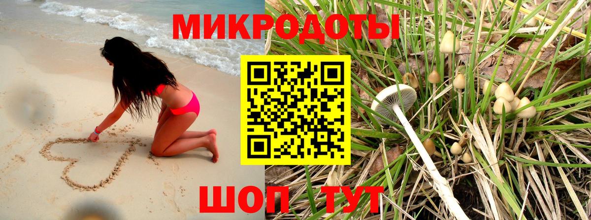 Псилоцибиновые грибы GOLDEN TEACHER Тихорецк