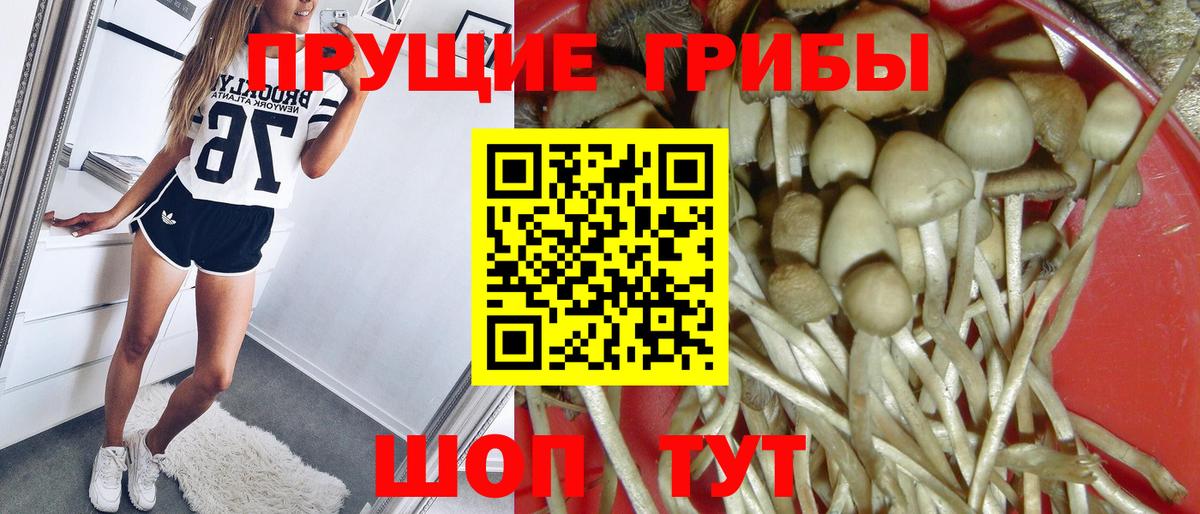 магазин    Галлюциногенные грибы мухоморы  Тихорецк  Вход с VPN  Псилоцибиновые грибы прущие грибы 